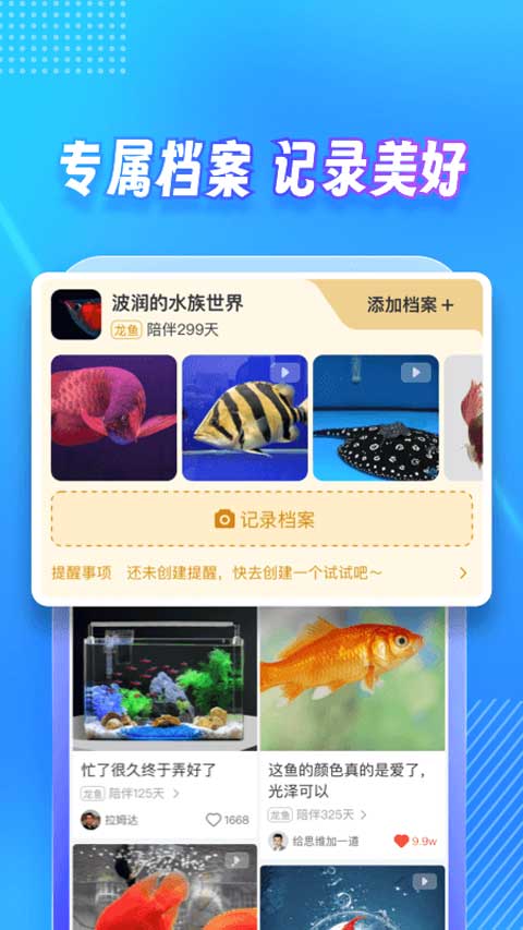 龙巅app