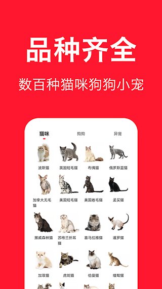 宠物宝app