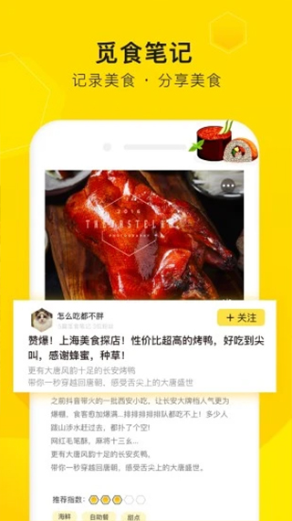 觅食蜂app