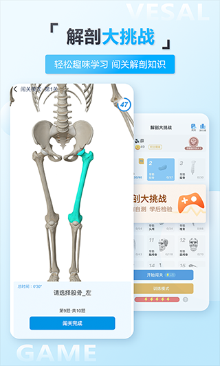 维萨里3D解剖app