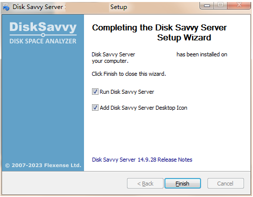 Disk Savvy Server 32位