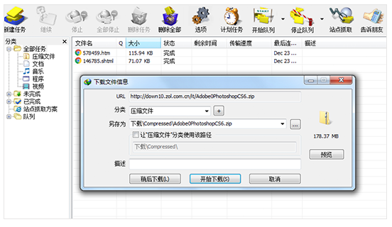 Internet Download Manager