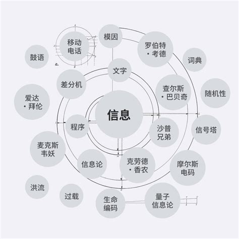 整理汇总Z，这篇文章究竟为我们揭示了哪些关键信息