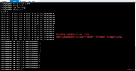 如何利用Shell脚本高效备份MySQL数据库