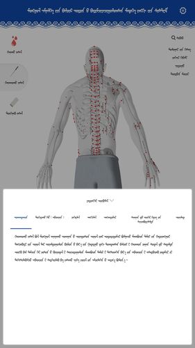 蒙医穴位标准化信息系统