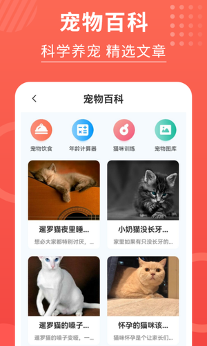 猫猫翻译器软件封面