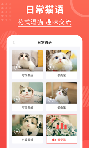 猫猫翻译器软件封面