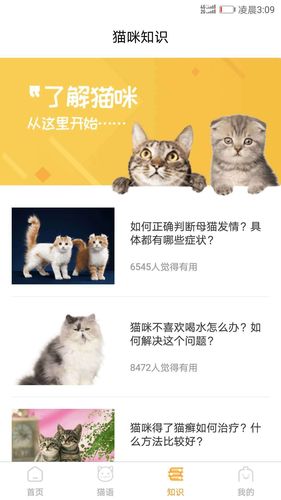 猫语翻译器