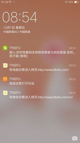 ttkefu网站在线客服系统