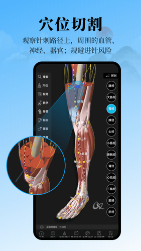 针灸大师软件封面