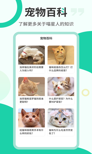 猫语翻译机软件封面