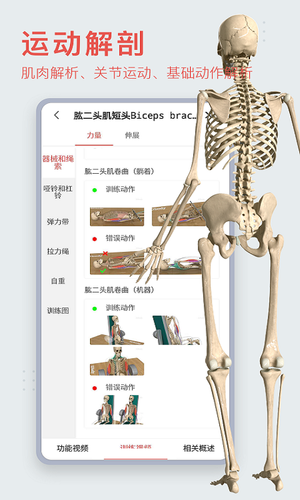 3Dbody解剖软件封面