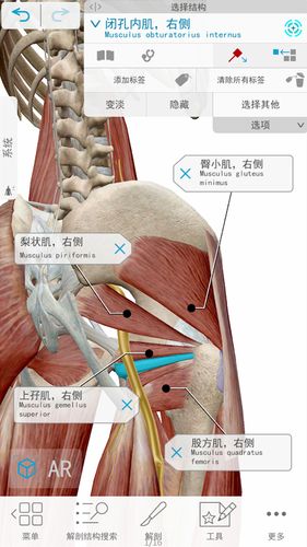 人体解剖学图谱软件封面