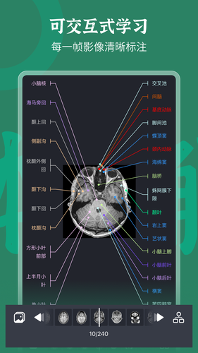 万康人体解剖软件封面