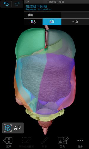 3D人体解剖软件封面