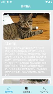 猫咪解压馆软件封面